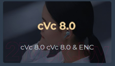 Беспроводные наушники Haylou W1