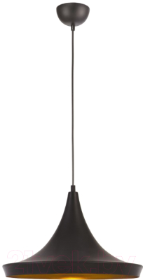 Потолочный светильник Arte Lamp Cappello A3406SP-1BK - фото