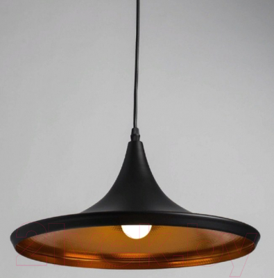Потолочный светильник Arte Lamp Cappello A3406SP-1BK