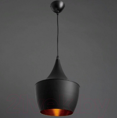 Потолочный светильник Arte Lamp Cappello A3407SP-1BK