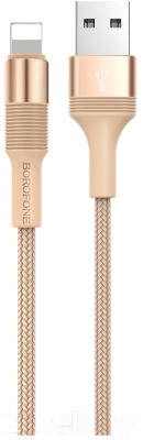 Кабель Borofone BX21 Outstanding AM-8pin Lightning - фото