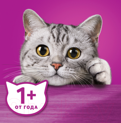 Влажный корм для кошек Whiskas Желе с лососем