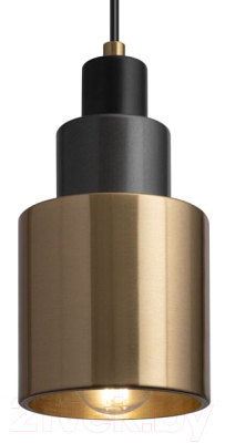 Потолочный светильник Freya Moke FR4006PL-01BS