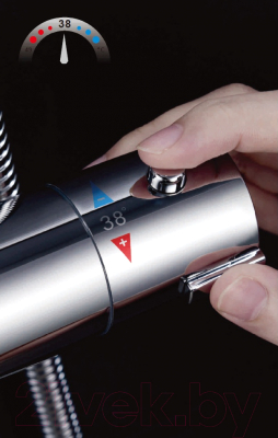 Душевая система со смесителем Ledeme L2422