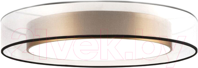 Потолочный светильник Freya Zoticus FR6005CL-L48G - фото