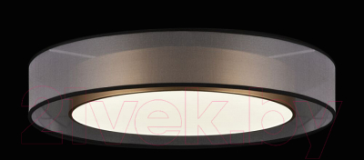 Потолочный светильник Freya Zoticus FR6005CL-L48G