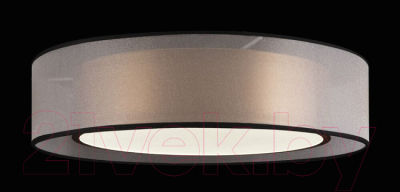 Потолочный светильник Freya Zoticus FR6005CL-L36G