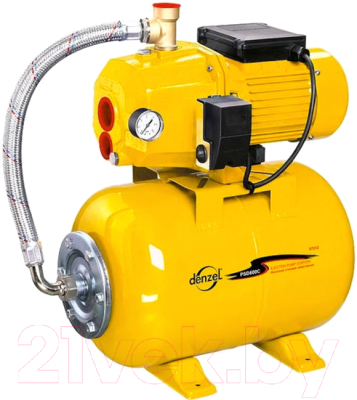 Насосная станция Denzel PS800X - фото