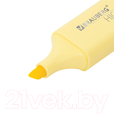 Набор маркеров Brauberg Original Pastel / 151697