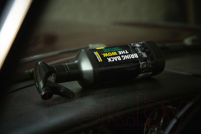 Набор автохимии Karcher 9.817-249