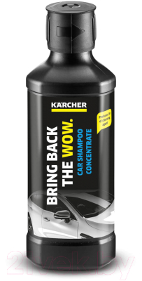 Набор автохимии Karcher 9.817-249