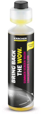 Набор автохимии Karcher 9.817-249