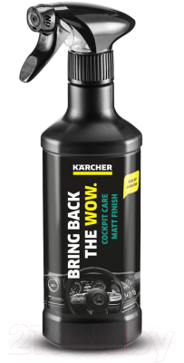 Набор автохимии Karcher 9.817-249