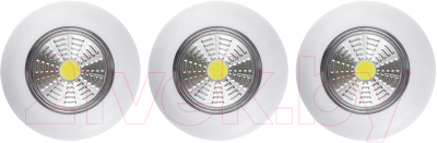 Набор фонарей REV Ritter Pushlight 3Pack / 29098 8 - фото