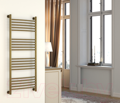 Полотенцесушитель водяной Сунержа Богема+ прямая 100x50 / 30-0220-1050