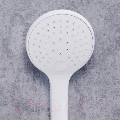 Лейка ручного душа Wasserkraft A155