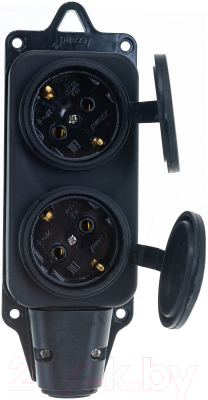 Розетка Lezard 106-0400-0110/110