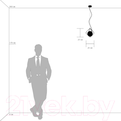 Потолочный светильник Lightstar Globo 803317