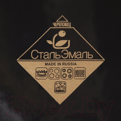 Чайник со свистком СтальЭмаль Рябина 4с209я