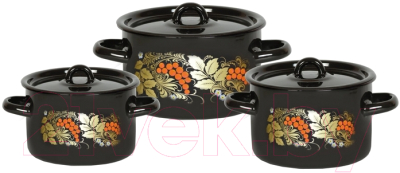 Набор кастрюль СтальЭмаль Рябина 1с33 - фото