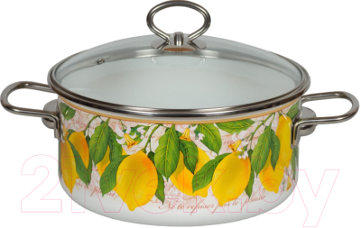 Кастрюля СтальЭмаль Limon 1SD205S - фото