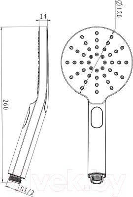 Лейка ручного душа LEMARK LM8122C