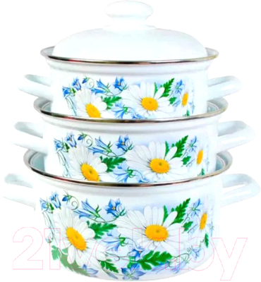 Набор кастрюль Лысьвенские эмали Ромашковое поле С-124АП2/4 - фото