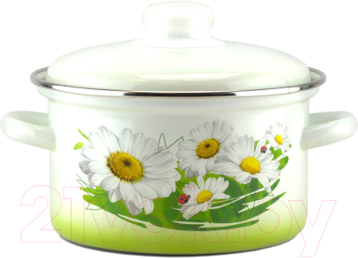 Кастрюля Эмаль 01-1610/6М - фото