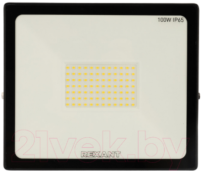 Прожектор Rexant 605-005