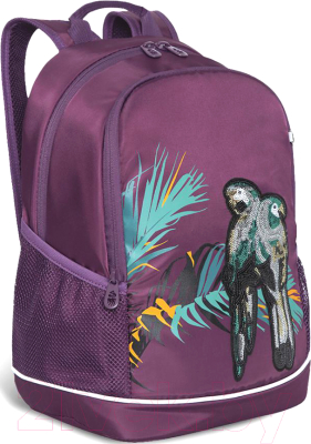 Школьный рюкзак Grizzly RG-163-2 - фото