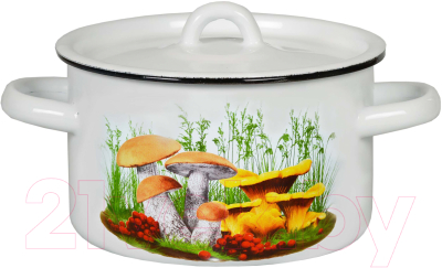 Кастрюля СтальЭмаль 1с15с/1