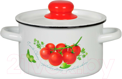 Кастрюля СтальЭмаль 1с15с/1