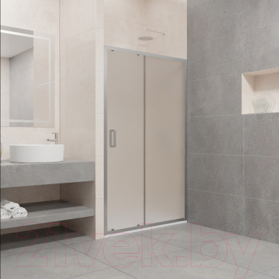 Душевая дверь RGW 350801613-21