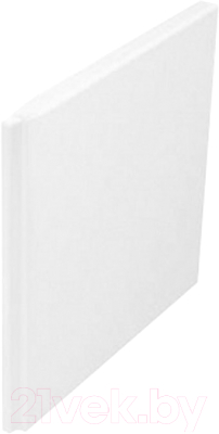 Экран для ванны Alba Spa Торцевой 80 / ЭВПР016020Б200 - фото