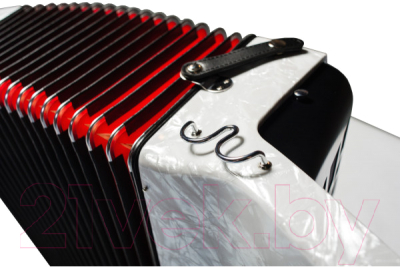 Аккордеон Hohner Bravo III 96 / A16711/A16712