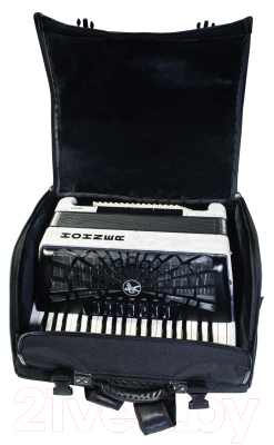 Аккордеон Hohner Bravo III 96 / A16711/A16712