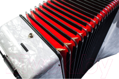 Аккордеон Hohner Bravo III 96 / A16711/A16712