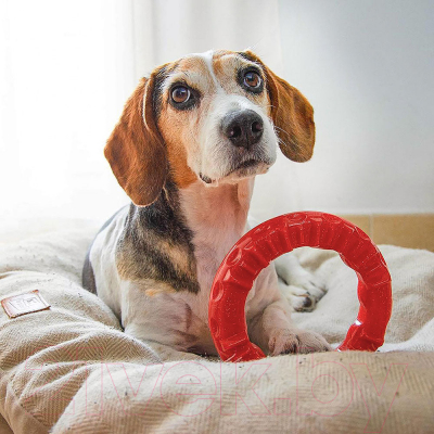 Игрушка для собак Ferplast Кольцо S / 86791012