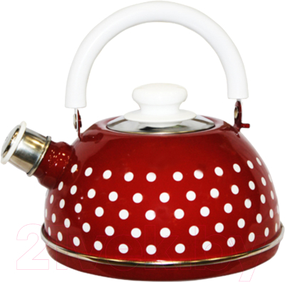 Чайник со свистком Сила Дон TMM04/25/01/27/H03 - фото