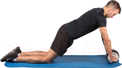 Ролик для пресса Indigo IN280