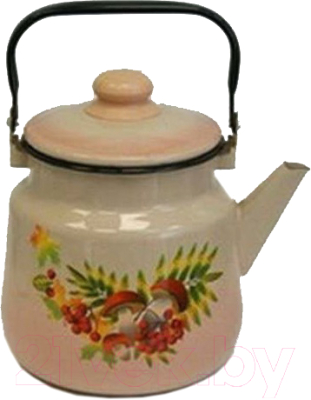 Чайник Эмаль 01.09.10-2713/6М - фото