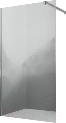 Душевая стенка RGW 351000107-11 - фото