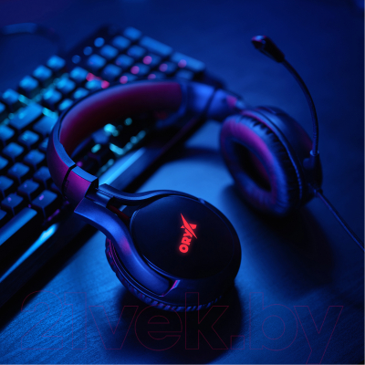 Наушники-гарнитура Niceboy Oryx X410 Epic