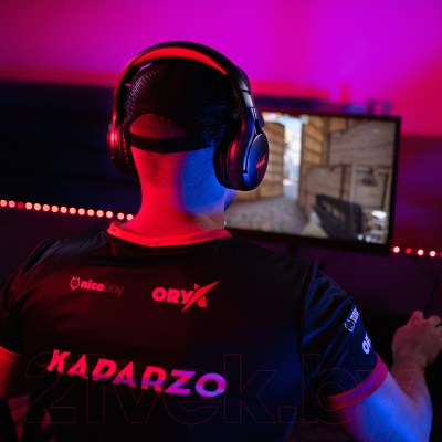 Наушники-гарнитура Niceboy Oryx X410 Epic