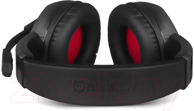 Наушники-гарнитура Niceboy Oryx X300