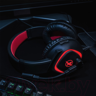 Наушники-гарнитура Niceboy Oryx X300