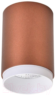 Точечный светильник Wertmark Stecken WE801.01.607 - фото