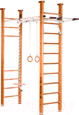 Детский спортивный комплекс Perfetto Sport Molto PS-107 - фото