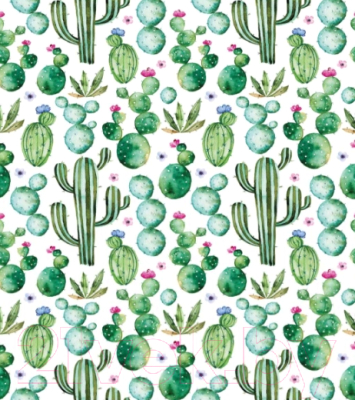 Мешок для обуви JoyArty Кактус акварелью / bpa_30774