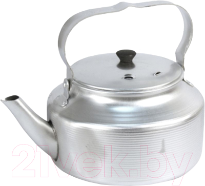 Чайник Эрг-Ал Травленный (3.0л, матовый) - фото